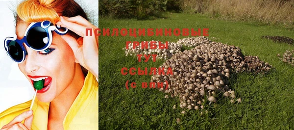 молекула духа Волоколамск