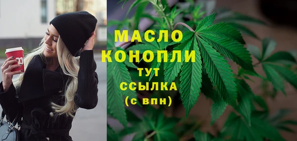 стаф Снежногорск
