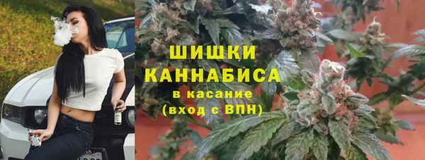 стафф Снежинск