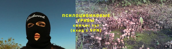 молекула духа Волоколамск